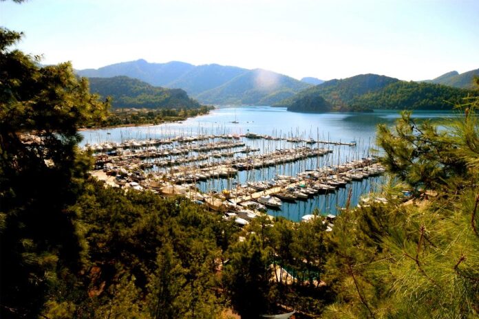 Martı Marina