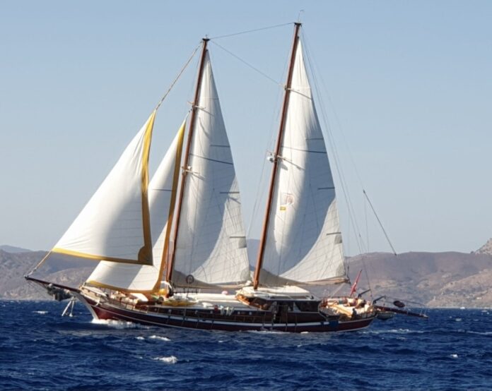 The bodrum Cup