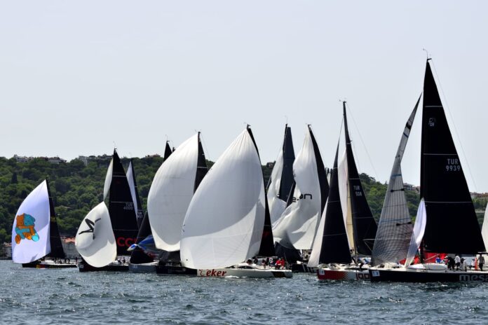 Lions Sailing