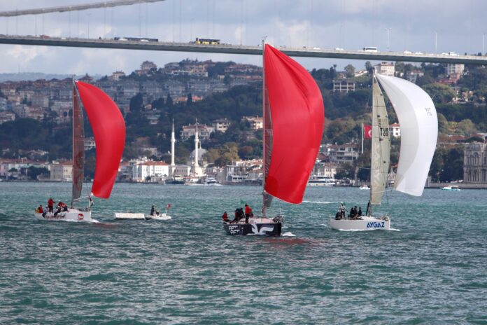 Lions Sailing Cup