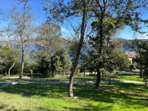 emirgan korusu 1